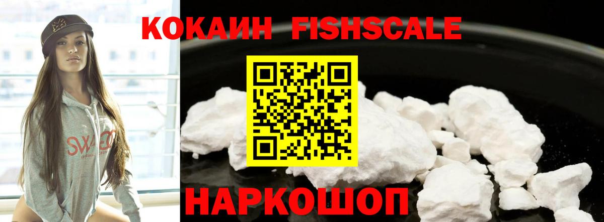 Новочебоксарск  купить закладку  Вход с VPN  Cocaine FishScale 
