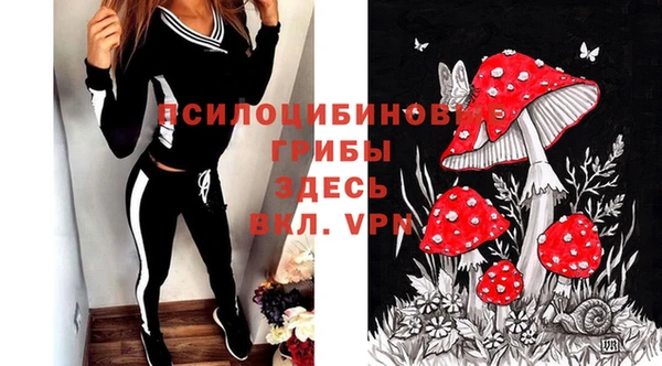 твердый Мегион