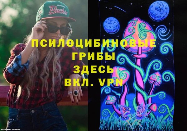 apvp Михайловка