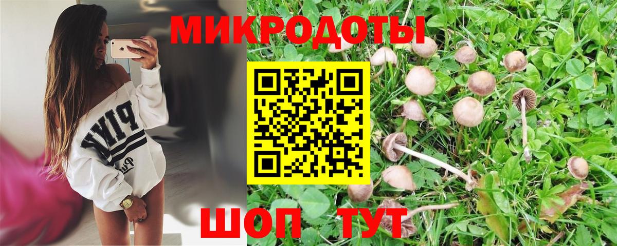Псилоцибиновые грибы Psilocybine cubensis  Новочебоксарск 
