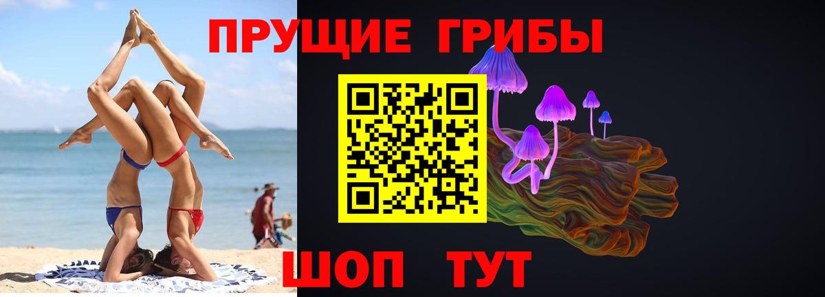 Псилоцибиновые грибы GOLDEN TEACHER Новочебоксарск